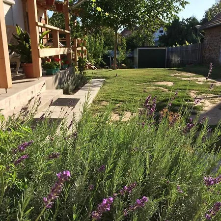 Guest house Teraszos Haz